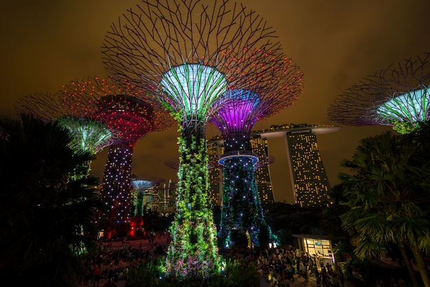 De Nachthorizon van Singapore bij Tuinen door de Baai