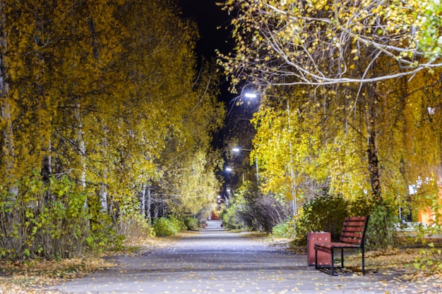 De nachtstraat in de herfst met paden bezaaid met gevallen gele bladeren en nachtlantaarns. Herfst nacht landschap.