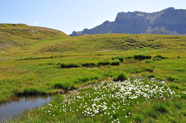 Foto de neal-pas in het queyras-regionaal park in de alpen, frankrijk