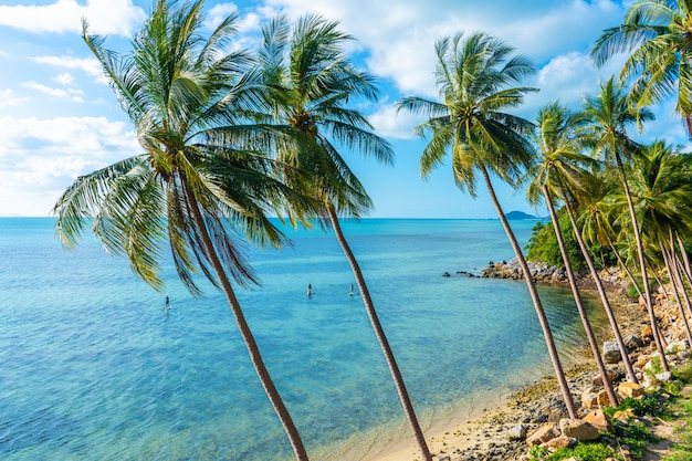 De oever van een tropisch eiland. strand aan de oceaan. palmbomen overhangen een water