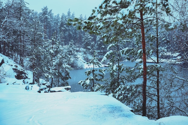 De oever van het meer is in de winter bedekt met sneeuw Uitzicht op een prachtig meer in de besneeuwde winter