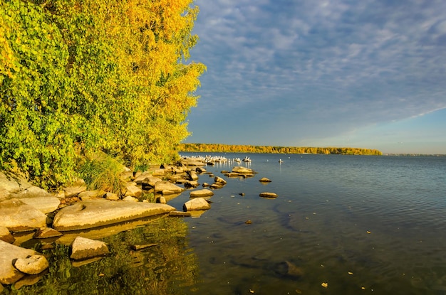 De oever van het meer met herfstbomen aan de oever.