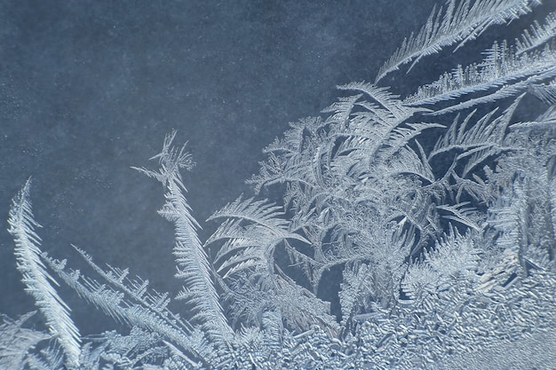 De ongebruikelijke vorst op een winterraam