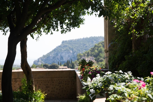 De ongelooflijke schoonheid van Mallorca