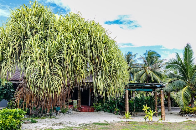 De ongerepte natuur van Frans-Polynesië met zijn prachtige landschappen