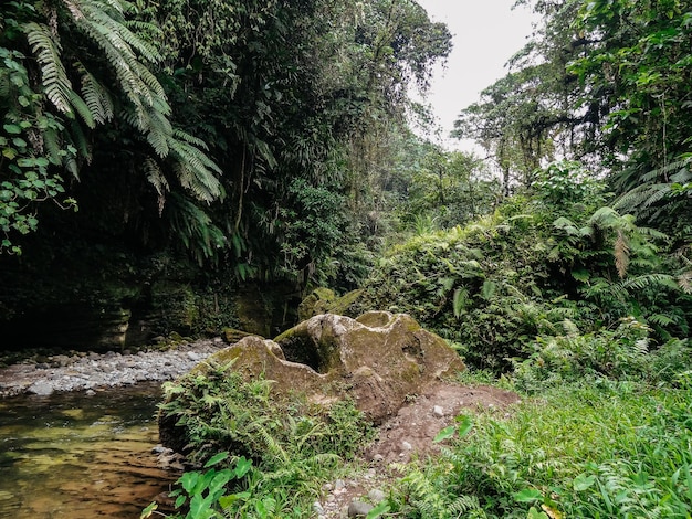 De ongerepte natuur van nieuw-caledonië met zijn prachtige landschappen