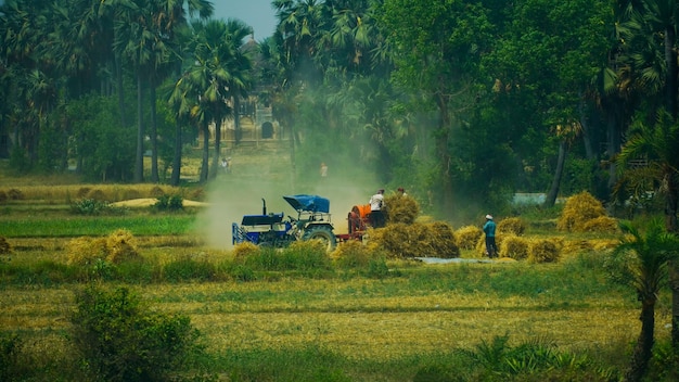 Foto de oogstmachine nadert de tarwe in het veld