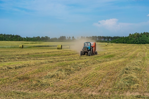 De oogstmachine oogst rogge in het veld