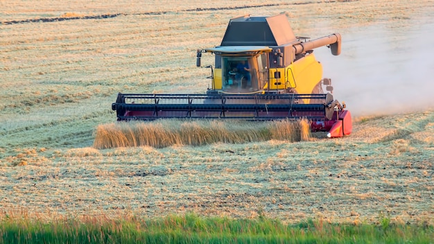 De oogstmachine oogst tarwe in het veld. graan voorbereiding. agronomie en landbouw.