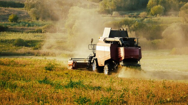 De oogstmachine oogst, te midden van eindeloze velden