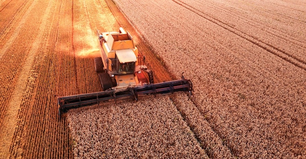 De oogstmachine werkt in het veld Tarwe oogsten