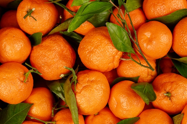 De oranje mandarijnen met bladeren sluiten omhoog.