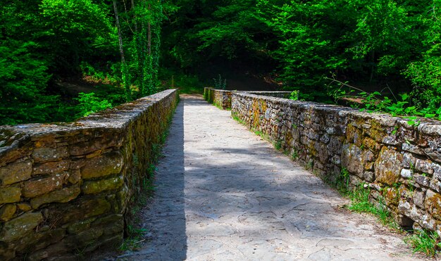 De oude stenen muur grenst aan een pad door het bos