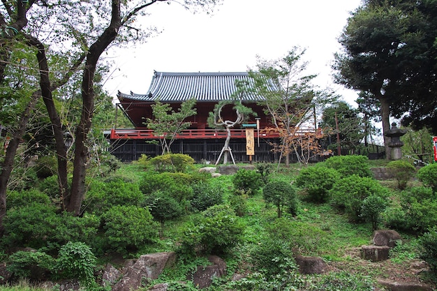 De oude tempel in het centrum, Tokyo, Japan