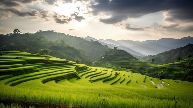 De padievelden van fototerrassen op berg in thailand generat ai