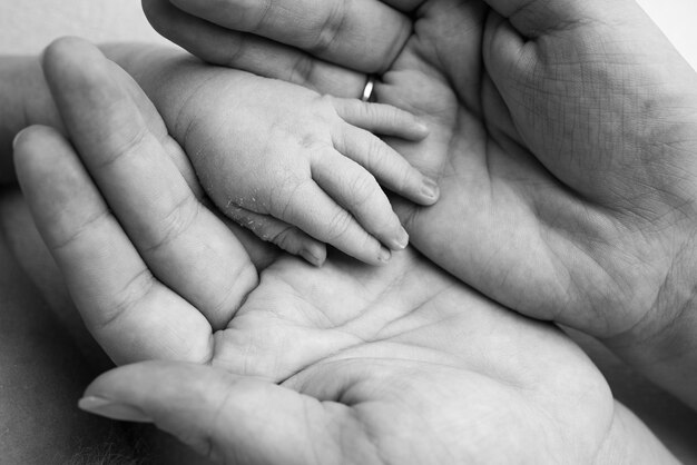 De palm van een pasgeboren baby in de handpalmen van de ouders. Close-up van een kleine hand van een kind en palmen van moeder en vader. Ouderschap, kinderopvang en gezondheidszorg concept. Zwart-wit foto.