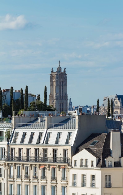 De Parijzenaars daken en Saint Jacques toren Parijs Frankrijk