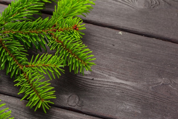 De pijnboomtakken van Kerstmis op houten raad.