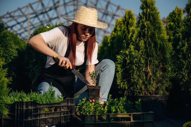 De plant wordt getransplanteerd met een mes. De jonge roodharige vrouw zorgt voor de tuin.