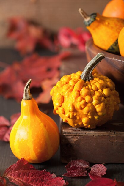 De pompoenen van de herfsthalloween op houten achtergrond