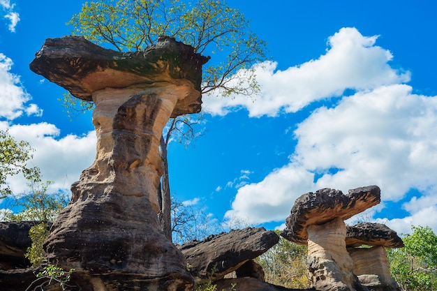 De prachtige Earth Pillarrock ziet eruit als een paddenstoel in Pha Taem National Park Ubon Ratchathani