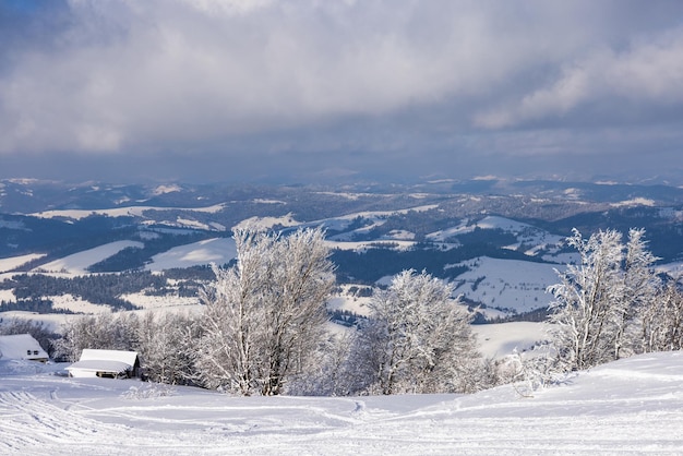 De prachtige Karpaten bedekt met altijd groene bossen en sneeuwwitte sneeuw liggen beschut onder krachtige pluizige wolken