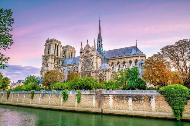 De prachtige Notre Dame de Paris en de rivier de Seine in de schemering