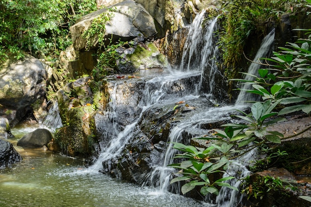 De prachtige watervallen, stroomversnellingen en bergstromen in het tropische bos in Yanoda Park, Sanya city. Hainan-eiland, China.