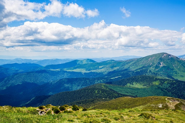 De prachtige Zwitserse Alpen Een prachtig uitzicht op de bergen met hoge toppen groene heuvels en lage wolken