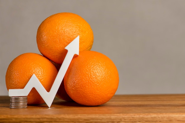 De prijs van citrusvruchten de kosten van citrusvruchten korting voor sinaasappelen export en import van citrusvruchten
