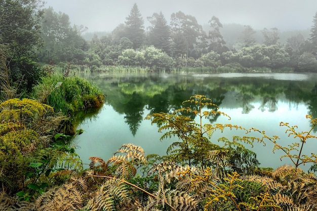 De reflecties van het thermale meer met het kleine meer gehuld in stoom en mist