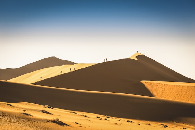 De reizigers die van toeristenmensen op zandduin wandelen in deadvlei dichtbij sossusvlei in namibië