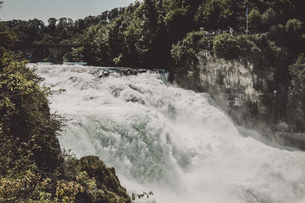 De rijnwaterval is de grootste waterval van europa in schaffhausen, zwitserland. zomerdag met zon. uitzicht vanaf rots