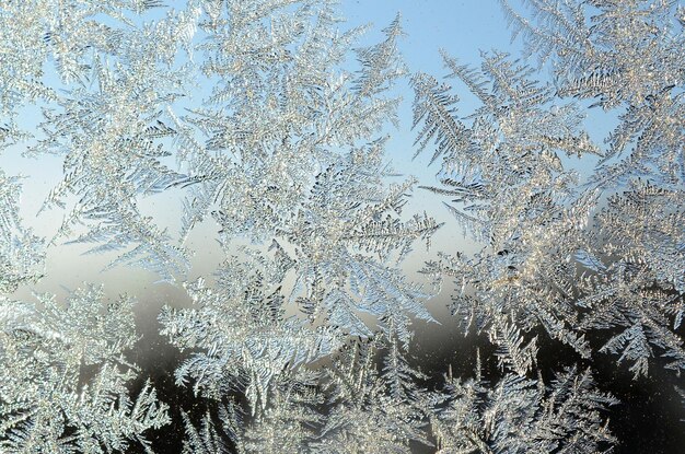 De rijpmacro van de sneeuwvlokkenvorst op ruitruit