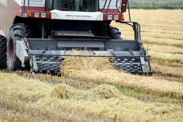 Foto de rijst wordt geoogst met de oogstmachine.