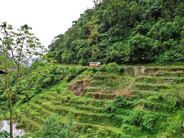 De rijstterrassen in Banaue, Filippijnen