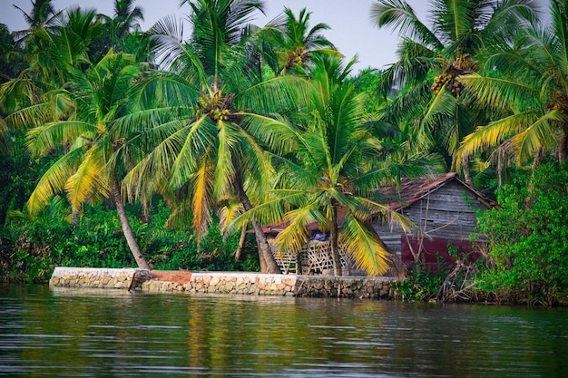 Foto de rivier de kerala