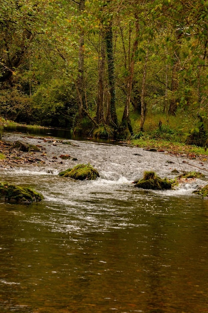 De rivier de Pra, die door de provincie Asturië stroomt.