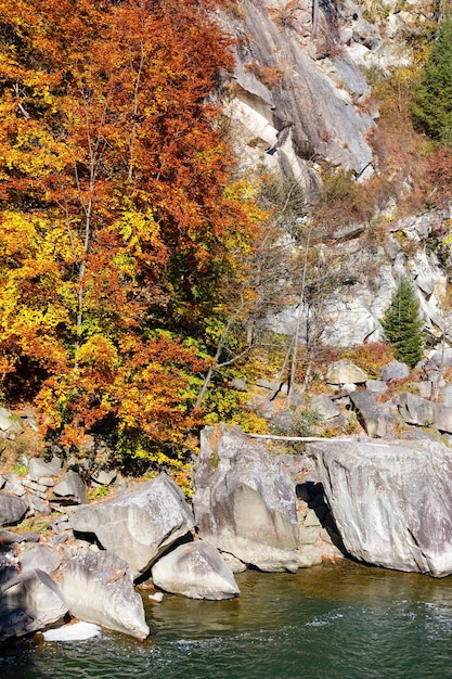 De rivier de prut yaremche, oekraïne