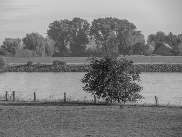 Foto de rivier de rijn