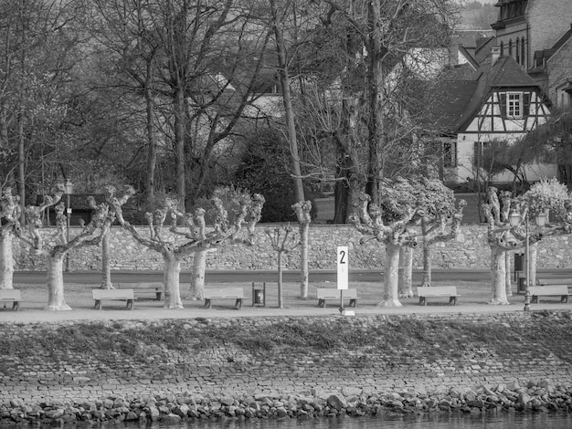 de rivier de Rijn