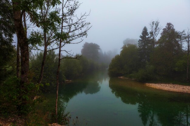 Foto de rivier tussen de bomen in de dikke ochtendmist in de herfst