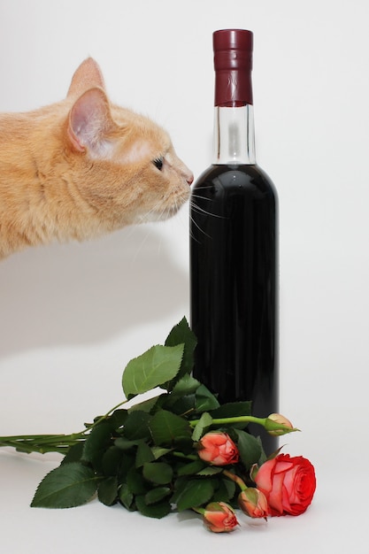 De rode kat snuift een verzegelde fles donkerrode wijn dichtbij een boeket van kleine rozen