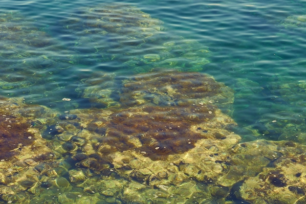 De rotsachtige kust van de middellandse zee met turkoois water