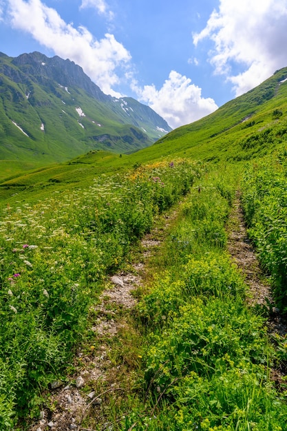 De rotsachtige landelijke weg in de tropische bergen de alpine bergen en weiden