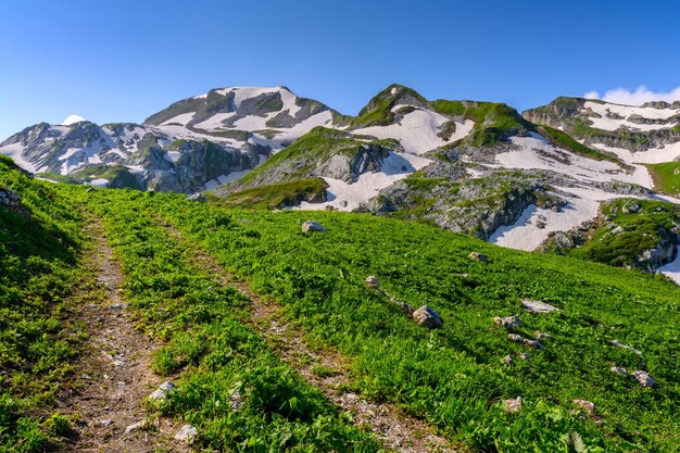 De rotsachtige landweg in de tropische bergen