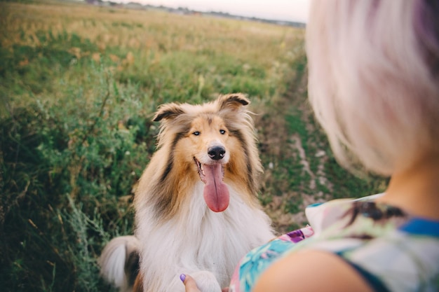 De Rough Collie hond buiten