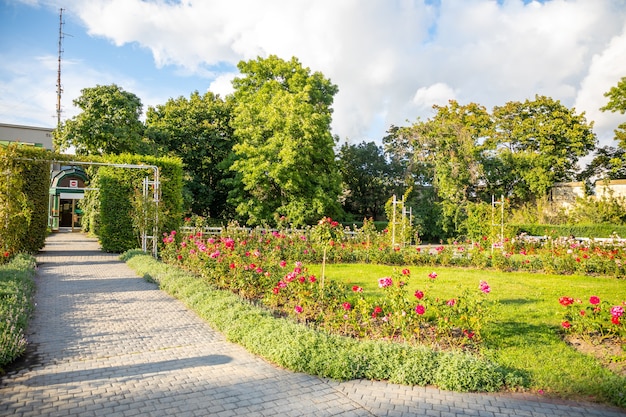 De rozentuin op de Petrin-heuvel in Praag, Tsjechië