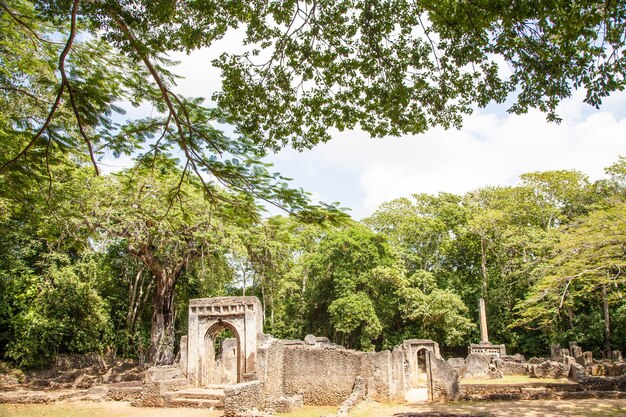 De ruïnes van gede in kenia zijn de overblijfselen van een swahili-stad, typisch voor de meeste steden langs de oost-afrikaanse kust