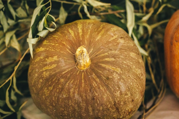 De rustieke regeling van het de herfstdecor met pompoenen sluit omhoog